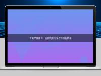 专利文件翻译：连接创新与全球市场的桥梁